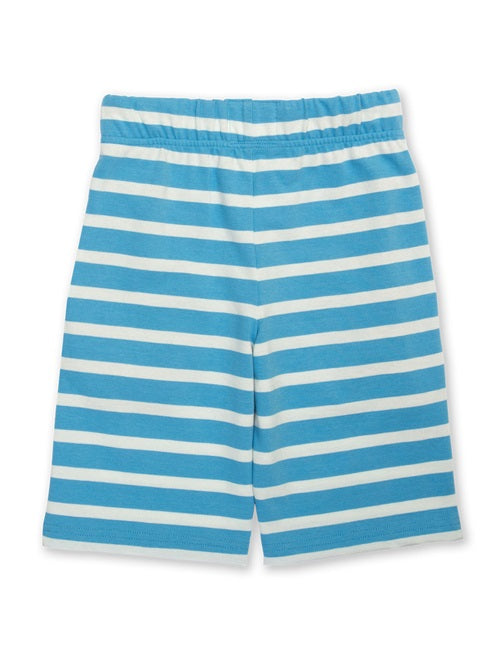 Corfe Shorts Blau