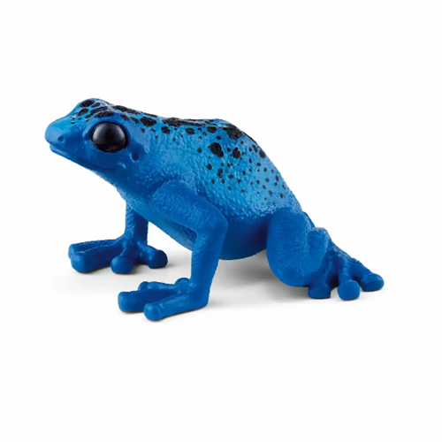 Blauer Pfeilgiftfrosch 14864